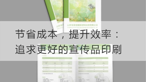 节省成本，提升效率：追求更好的宣传品印刷